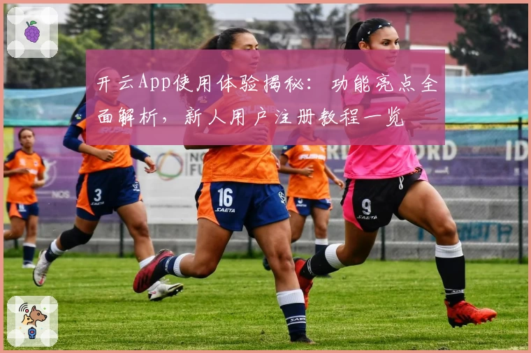 开云App使用体验揭秘：功能亮点全面解析，新人用户注册教程一览