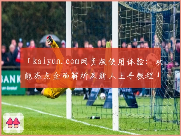 「kaiyun.com网页版使用体验：功能亮点全面解析及新人上手教程」